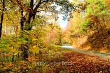 beautiful fall road 이미지 (476093695) - 게티이미지뱅크 beautiful fall road