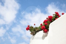 Balcony wiht red geraniums. 이미지 (495212985) - 게티이미지뱅크 Balcony wiht red geraniums.