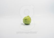 Kaffir Limes 이미지 (493201485) - 게티이미지뱅크 Kaffir Limes