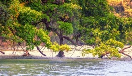 Belize 이미지 (487533161) - 게티이미지뱅크 Belize