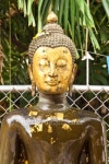 face of old buddha statue 이미지 (509033727) - 게티이미지뱅크 face of old buddha statue