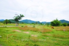 Life stlye of people at Pai in Thailand. 이미지 (467279147) - 게티이미지뱅크 Life stlye of people at Pai in Thailand.