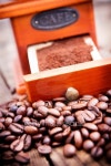 Roasted coffee beans and coffee grinder. 이미지 (477223257) - 게티이미지뱅크 Roasted coffee beans and coffee grinder.