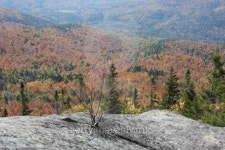 Fall Foliage - Adirondack Mountains 이미지 (490931523) - 게티이미지뱅크 Fall Foliage - Adirondack Mountains