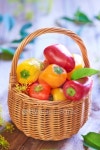 Basket with fresh colorful peppers 이미지 (504788325) - 게티이미지뱅크 Basket with fresh colorful peppers