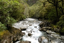 flowing stream 이미지 (486137365) - 게티이미지뱅크 flowing stream