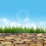 Flooring made Ã¢Â€Â‹Ã¢Â€Â‹of wooden logs through the green grass under 이미지 (488327831) - 게티이미지뱅크... 
