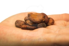 Close up of roasted cocoa. 이미지 (521291893) - 게티이미지뱅크 Close up of roasted cocoa.