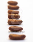 Roasted cocoa on white background. 이미지 (521289605) - 게티이미지뱅크 Roasted cocoa on white background.