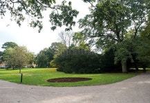 In the park 이미지 (523398289) - 게티이미지뱅크 In the park