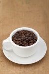 Coffee Bean 이미지 (488497209) - 게티이미지뱅크 Coffee Bean