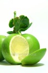 Limes with slices and leaves isolated on white background 이미지 (519457487) - 게티이미지뱅크 Limes with slices and leaves... 