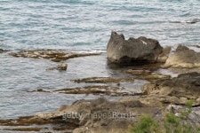 Sicily - Cefalu 이미지 (494984111) - 게티이미지뱅크 Sicily - Cefalu