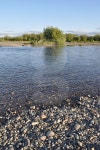 The Ural river. 이미지 (517818729) - 게티이미지뱅크 The Ural river.