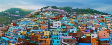 Gamcheondong Culture Village 이미지 (505914233) - 게티이미지뱅크 Gamcheondong Culture Village