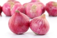 Fresh red onions 이미지 (481515563) - 게티이미지뱅크 Fresh red onions