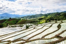 Rice terraces field with sunset 이미지 (507188313) - 게티이미지뱅크 Rice terraces field with sunset