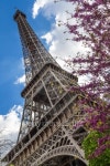 eiffel tower 이미지 (508199639) - 게티이미지뱅크 eiffel tower