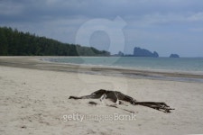 Hat Yong Ling beach, Trang coast 이미지 (481990203) - 게티이미지뱅크 Hat Yong Ling beach, Trang coast