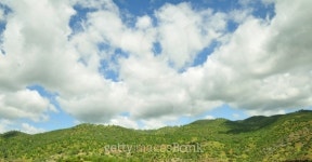 Beauty of Nature 이미지 (477218591) - 게티이미지뱅크 Beauty of Nature