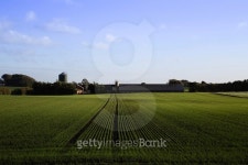 Jutland Farm 이미지 (516875801) - 게티이미지뱅크 Jutland Farm