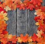 Autumn leaf on wooden boards background 이미지 (515275321) - 게티이미지뱅크 Autumn leaf on wooden boards background