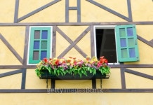Flowerbox and window 이미지 (509118333) - 게티이미지뱅크 Flowerbox and window