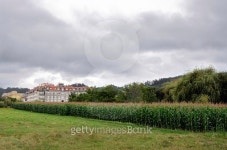 landscape with  planting corn 이미지 (526767135) - 게티이미지뱅크 landscape with  planting corn