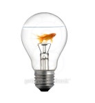 Gold small fish in light bulb on a white background 이미지 (488891671) - 게티이미지뱅크 Gold small fish in light bulb on a... 