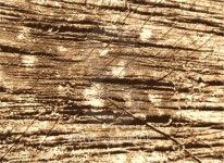 Grunge wooden  Abstract pattern, Retro Vintage Dark Old  texture. Presentation 이미지 (509273139) - 게티이미지뱅크 Grunge... 