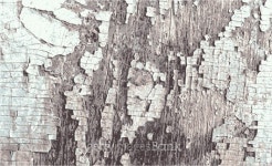 Grunge wooden  Abstract pattern, Retro Vintage Dark Old  texture. Presentation 이미지 (509205219) - 게티이미지뱅크 Grunge... 