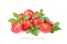 Basil and tomatoes 이미지 (513382935) - 게티이미지뱅크 Basil and tomatoes