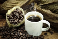 Fresh coffee and roasted coffee beans 이미지 (490883911) - 게티이미지뱅크 Fresh coffee and roasted coffee beans