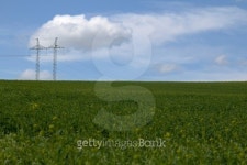 Green field with electric tower 이미지 (493375911) - 게티이미지뱅크 Green field with electric tower