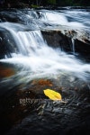 waterfall 이미지 (517930735) - 게티이미지뱅크 waterfall