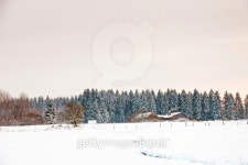 Cottage in winter landscape with snow covered fir trees. 이미지 (469148745) - 게티이미지뱅크 Cottage in winter landscape with... 