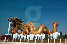 Golden Dragon at Suphanburi, Thailand 이미지 (481017573) - 게티이미지뱅크 Golden Dragon at Suphanburi, Thailand