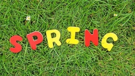 Spring written 이미지 (519725519) - 게티이미지뱅크 Spring written