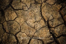 Soil 이미지 (483690745) - 게티이미지뱅크 Soil