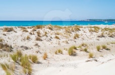 Beach in Sardinia 이미지 (515839043) - 게티이미지뱅크 Beach in Sardinia