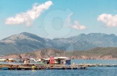 Fish coop farm 이미지 (483989037) - 게티이미지뱅크 Fish coop farm