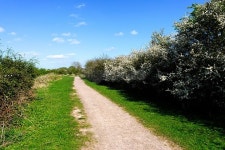 field 이미지 (525652589) - 게티이미지뱅크 field