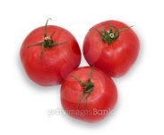 Three ripe tomatoes isolated on white background 이미지 (498924017) - 게티이미지뱅크 Three ripe tomatoes isolated on white... 