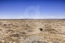 Desert Las Vegas 이미지 (508350329) - 게티이미지뱅크 Desert Las Vegas