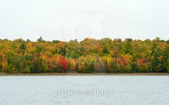 Colorful Trees by the Golden Lake 이미지 (474953247) - 게티이미지뱅크 Colorful Trees by the Golden Lake