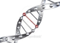 Metal structure Dnk 이미지 (475506653) - 게티이미지뱅크 Metal structure Dnk