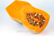 Butternut squash (Cucurbita moschata) 이미지 (474723689) - 게티이미지뱅크 Butternut squash (Cucurbita moschata)