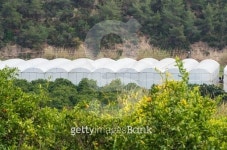 exterior greenhouse 이미지 (520471445) - 게티이미지뱅크 exterior greenhouse
