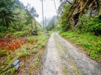 Huihang Ancient Trail Hiking Tour 이미지 (495732331) - 게티이미지뱅크 Huihang Ancient Trail Hiking Tour