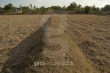 Farmland 이미지 (512061019) - 게티이미지뱅크 Farmland